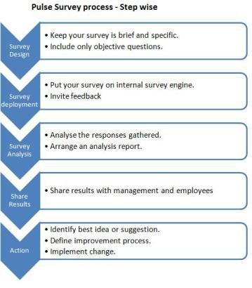 Pulse Survey process